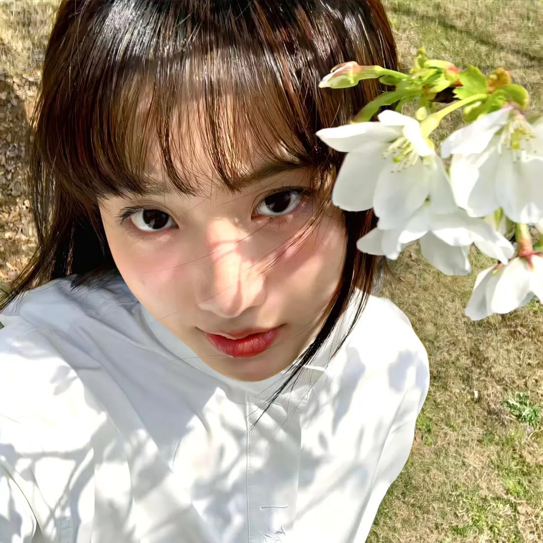 法老